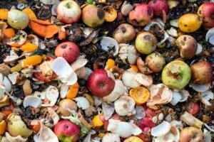 food waste